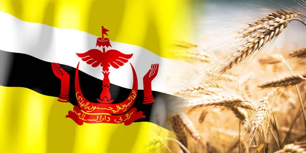 Brunei Bandeira Campo Centeio Maduro Culturas Cereais Conceito Colheita — Fotografia de Stock