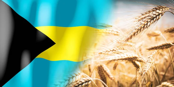 Bahamy Vlajky Zralé Žitné Pole Plodiny Obiloviny Koncepce Sklizně — Stock fotografie