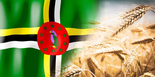 Dominica Flag Ripe Rye Field Crops Cereal Harvest Concept — Foto de Stock