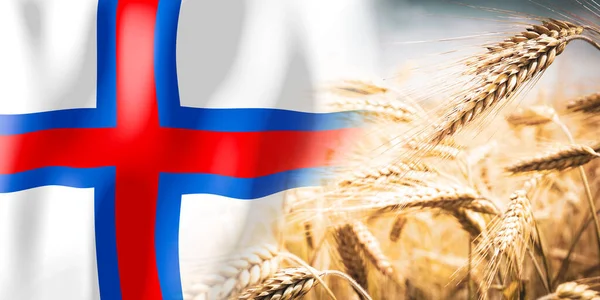 Faroe Islands Flag Ripe Rye Field Crops Cereal Harvest Concept — Foto Stock