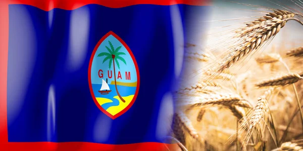 Guam Flag Ripe Rye Field Crops Cereal Harvest Concept — Foto de Stock