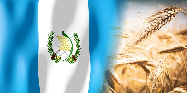 Guatemala Vlajky Zralé Žitné Pole Plodiny Obiloviny Koncepce Sklizně — Stock fotografie