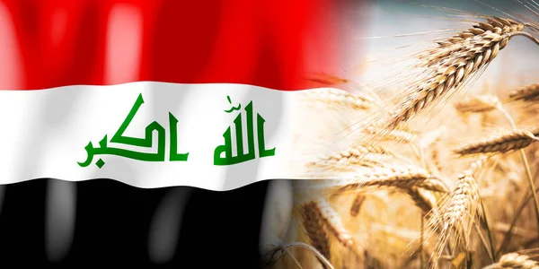 Iraq Flag Ripe Rye Field Crops Cereal Harvest Concept — Stockfoto