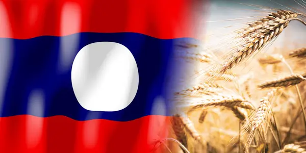 Laos Flag Ripe Rye Field Crops Cereal Harvest Concept —  Fotos de Stock