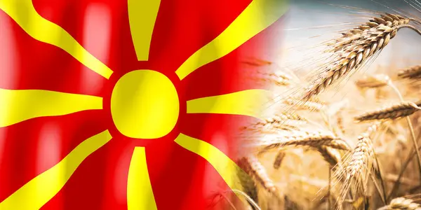 Macedonia Flag Ripe Rye Field Crops Cereal Harvest Concept — Foto de Stock