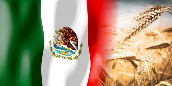 Mexico Flag Ripe Rye Field Crops Cereal Harvest Concept — Stock Photo, Image