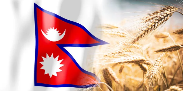 Nepal Flag Ripe Rye Field Crops Cereal Harvest Concept — стоковое фото