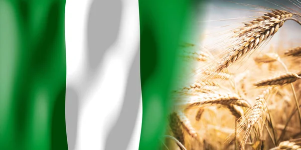 Nigérie Vlajky Zralé Žitné Pole Plodiny Obiloviny Koncepce Sklizně — Stock fotografie