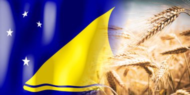 Tokelau - bayrak ve olgun çavdar tarlası - ekinler, mısır gevreği, hasat kavramı