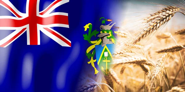 Pitcairn Szigetek Zászló Érett Rozs Mező Növények Gabonafélék Betakarítási Koncepció — Stock Fotó