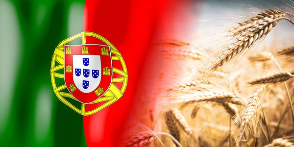 Portugal Flag Ripe Rye Field Crops Cereal Harvest Concept — Foto de Stock