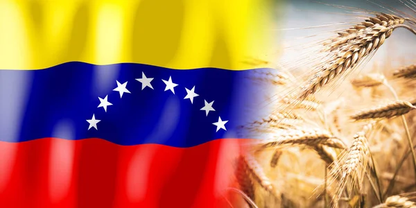 Venezuela Flag Ripe Rye Field Crops Cereal Harvest Concept — ストック写真