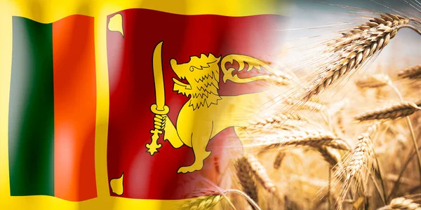 Sri Lanka Flagge Und Reifes Roggenfeld Pflanzen Getreide Erntekonzept — Stockfoto