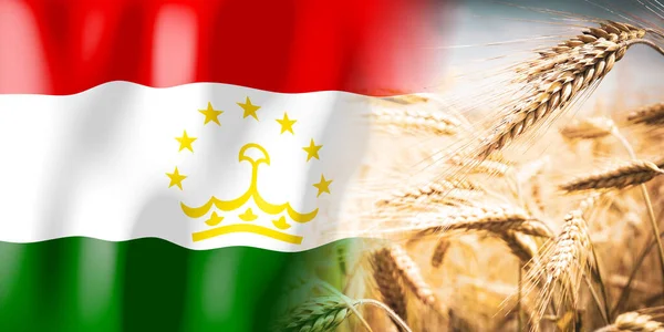 Tajikistan Flag Ripe Rye Field Crops Cereal Harvest Concept — Foto de Stock