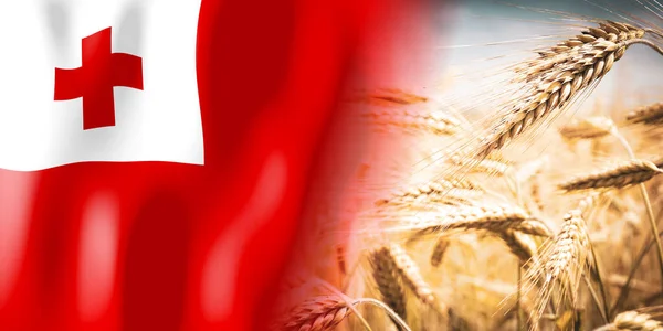 Tonga Flagge Und Reifes Roggenfeld Pflanzen Getreide Erntekonzept — Stockfoto