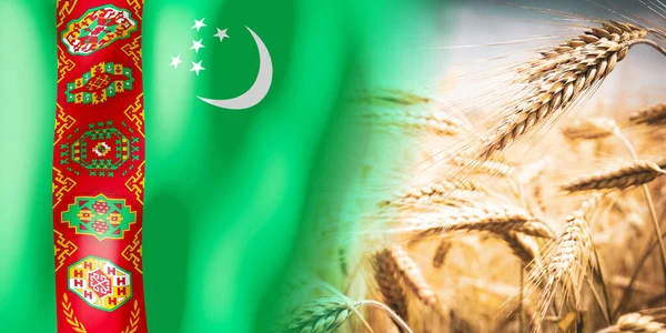 Turkmenistan Flag Ripe Rye Field Crops Cereal Harvest Concept — Stock fotografie