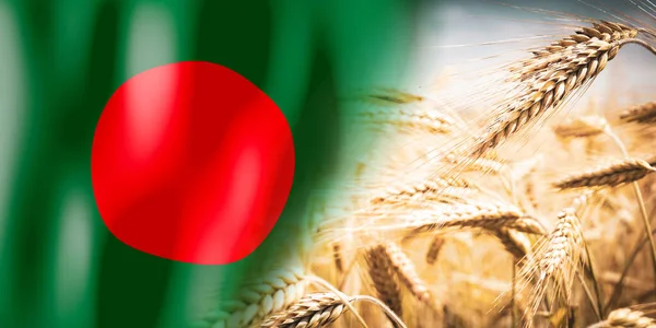Bangladéš Vlajky Zralé Žitné Pole Plodiny Obiloviny Koncepce Sklizně — Stock fotografie
