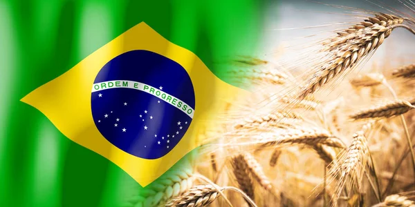 Brazil Flag Ripe Rye Field Crops Cereal Harvest Concept — 스톡 사진