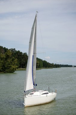 Gölde yüzen yelkenli - kıyıda ağaçlar