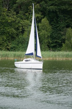 Göl kenarında yüzen yelkenli.