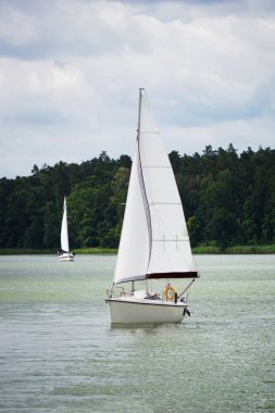 Sailboat swimming on a lake - trees on shore