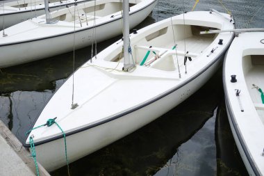 Limanda demirli beyaz yelkenliler