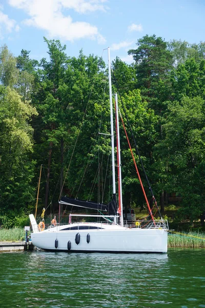 Sailboat Swimming Moored Shore Forest — стоковое фото