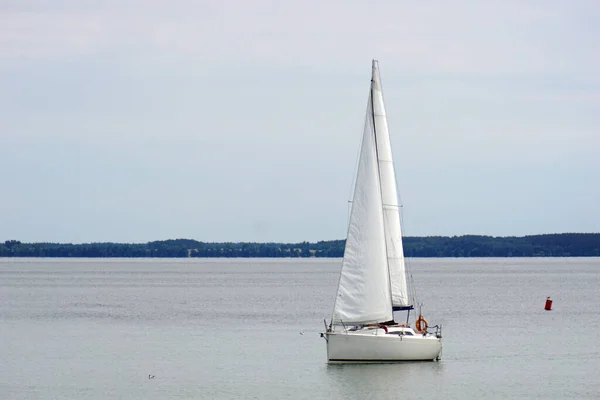 Sailboat Swimming Lake Trees Shore — Foto Stock