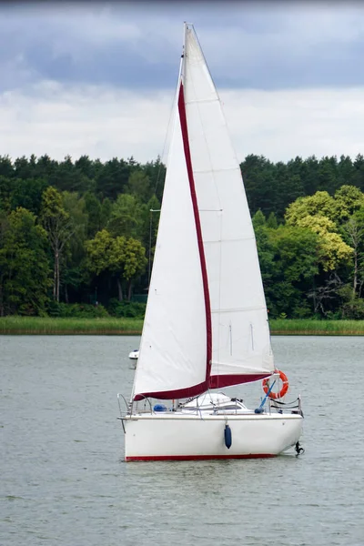 Sailboat Swimming Lake Trees Shore — Photo