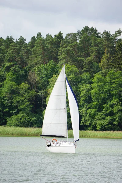 Sailboat Swimming Lake Shore Trees — стоковое фото