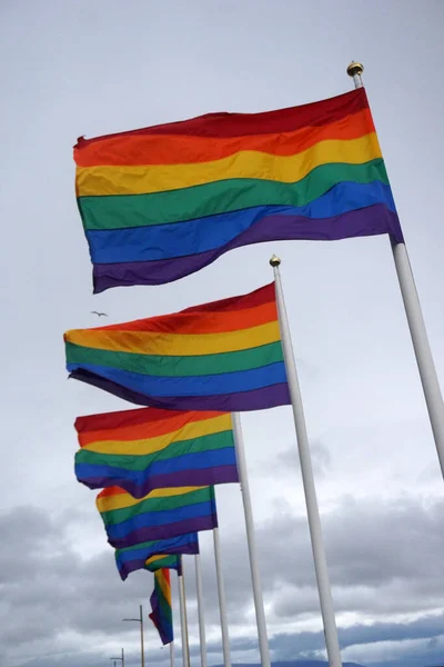 Iceland Reykjavik August 7Th 2022 Pride Month Many Rainbow Flags — ストック写真