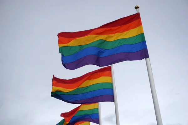 Iceland Reykjavik August 7Th 2022 Pride Month Many Rainbow Flags — Stock Fotó