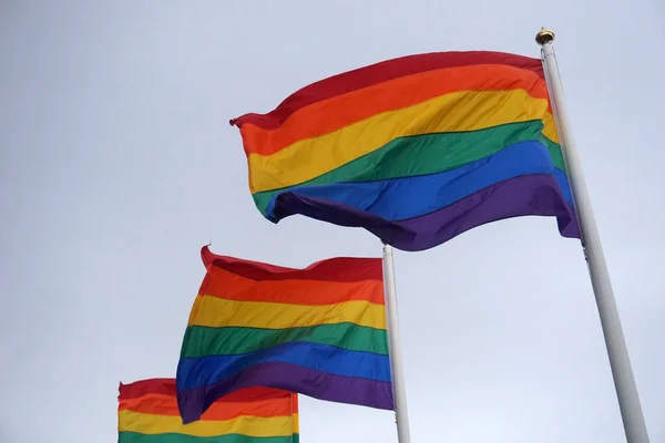 Iceland Reykjavik August 7Th 2022 Pride Month Many Rainbow Flags — Stock Fotó