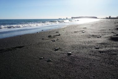 Reynisfjara İzlanda 'daki Kara Plajı