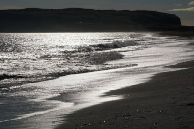 Reynisfjara İzlanda 'daki Kara Plajı