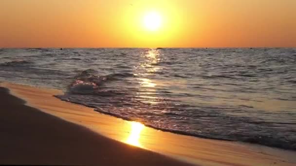 Fale Brzegu Zachodzie Słońca Lato Świetne Tematy Takie Jak Wakacje — Wideo stockowe