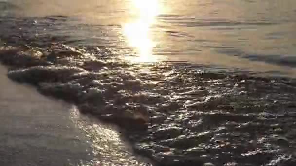 Волны Берегу Закате Летнее Время Отлично Подходит Таких Отпуск — стоковое видео