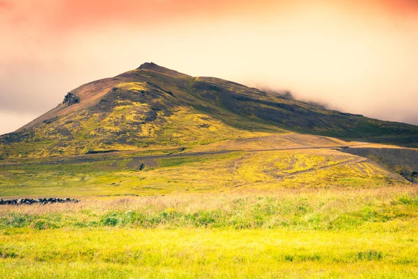 Pegunungan Islandia Semenanjung Snaefellsnes Foto Hdr — Stok Foto