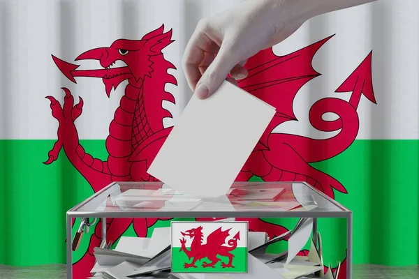 威尔士国旗 手递选票到盒子里 选举概念 3D插图 — 图库照片