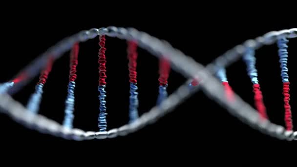Dna鎖の回転 黒の背景にデオキシリボ核酸 科学と遺伝学の概念 4K解像度の3Dアニメーション 3840 2160 — ストック動画