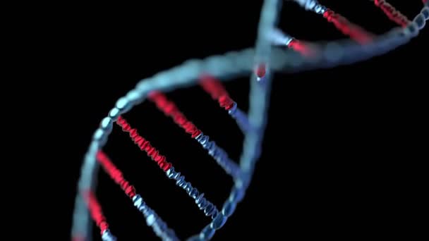 Roterende Dna Kæde Deoxyribonukleinsyre Sort Sort Sort Baggrund Videnskab Genetik – Stock-video
