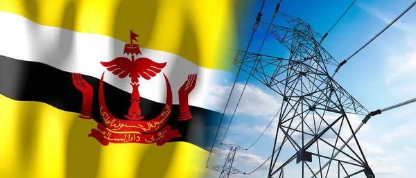 Brunei Bandeira País Postes Eletricidade Ilustração — Fotografia de Stock