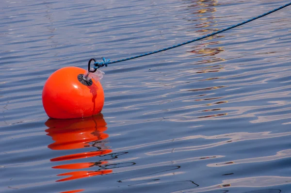 Orange boj — Stockfoto