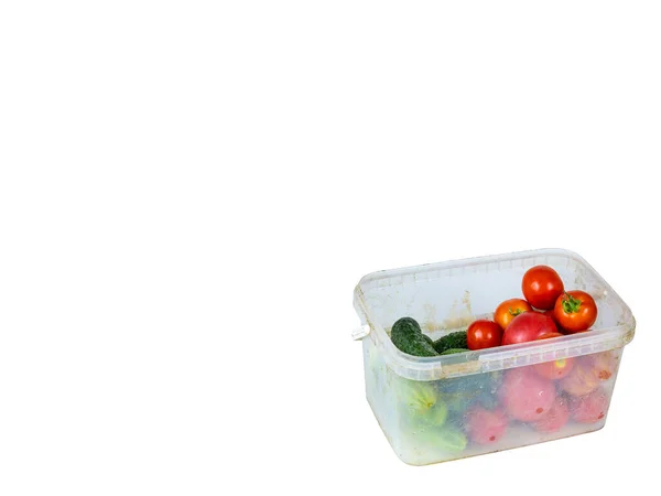 Warzywa, ogórki i pomidory w plastikowej tacy. — Zdjęcie stockowe