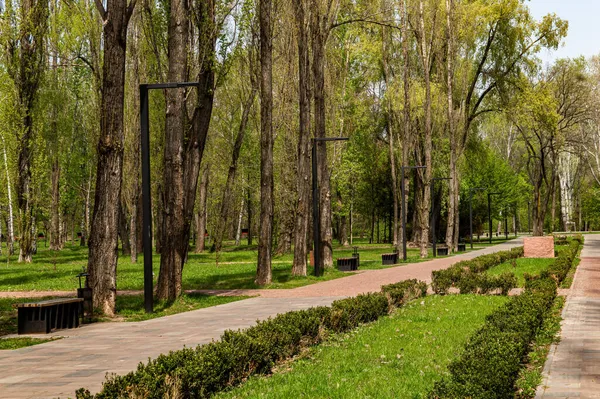 Beco Parque Complexo Memorial Babiy Yar Kiev Parque Público Caminho — Fotografia de Stock