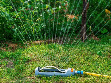 Yeşil çimenleri sulamak için sulama sistemi. Bahçe malzemeleri. Su damlaları. Su jeti. Bahçe sulama sistemi. Yeşil çimenler. Endüstriyel ekipman Bahçıvanlık. Tarım.