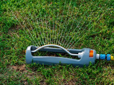 Yeşil çimenleri sulamak için sulama sistemi. Bahçe malzemeleri. Su damlaları. Su jeti. Bahçe sulama sistemi. Yeşil çimenler. Endüstriyel ekipman Bahçıvanlık. Tarım.