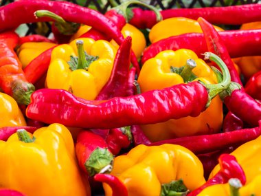 Sebze hasadı kırmızı ve sarı biber.