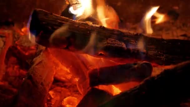 Los carbones de la leña del fuego ardiente. — Vídeo de stock