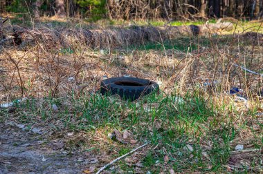 Bir araba tekerleğinin lastik lastiği çimlerin üzerinde yatar. Araba tekerleği kılıfı. Çevre kirliliği. Çöp yığını. Sanayi atıkları ve doğa. Ekolojik felaket. Spontane çöp yığını.